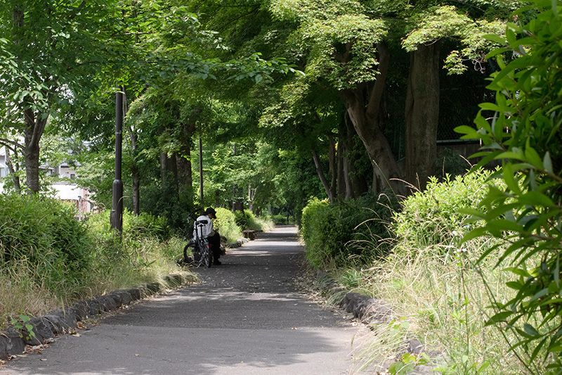 白川疎水道の写真_北白川 懐旧の京町家