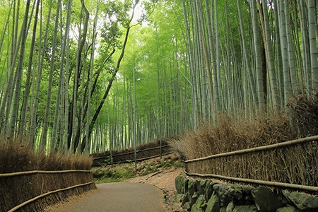 比叡山参道（登り口）の写真