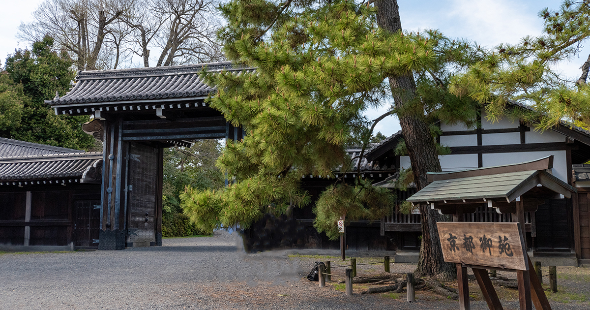 京都御苑 堺町御門